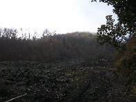 nte Fontane-201011107 006